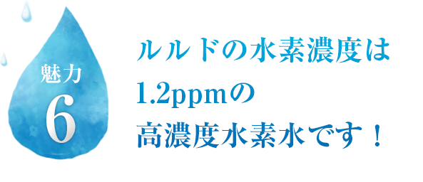 メーカー公式ショップ】高濃度水素水生成器ルルド